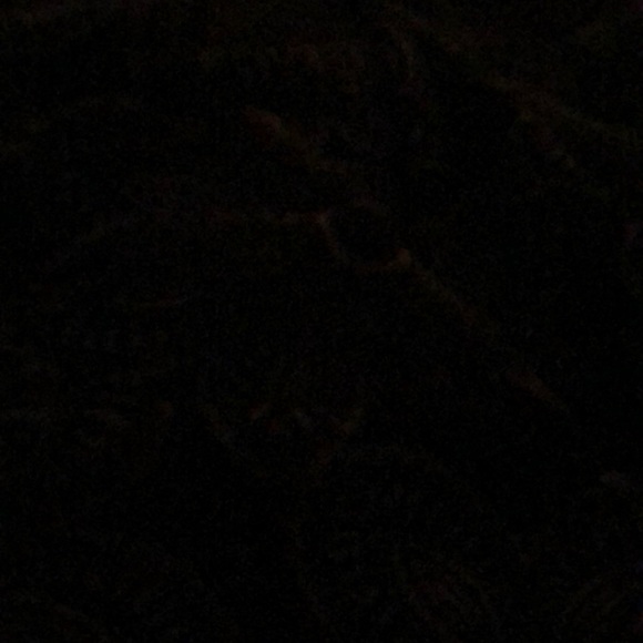 Meet your Posher, Summer - Picture 1 of 1